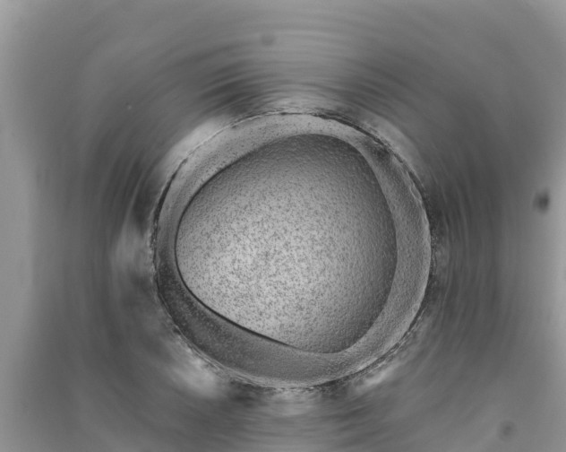 X0000091071026200708131148