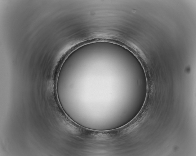 X0000091071027200708131148