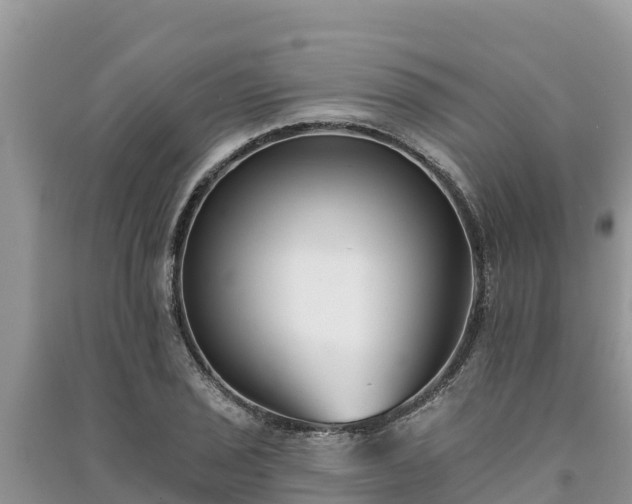X0000091071029200708131148
