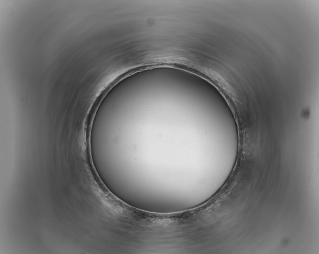 X0000091071031200708131148
