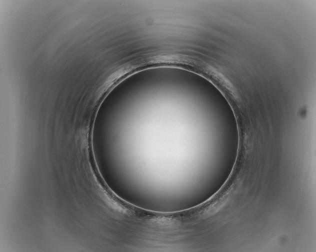 X0000091071033200708131148