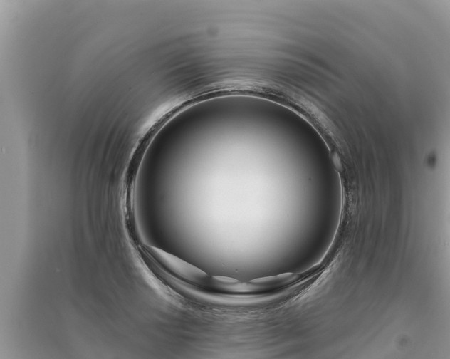 X0000091071034200708131148