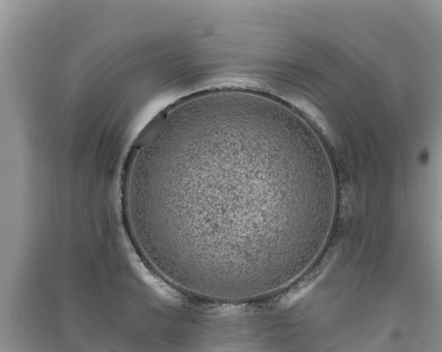 X0000091071038200708131148