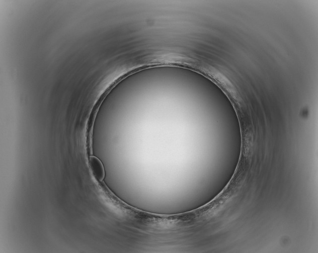 X0000091071039200708131148