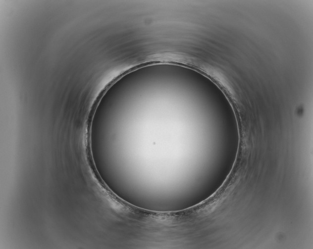 X0000091071040200708131148