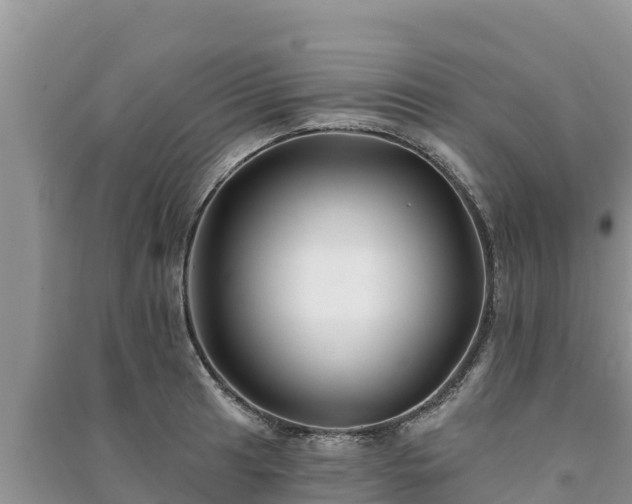 X0000091071041200708131148