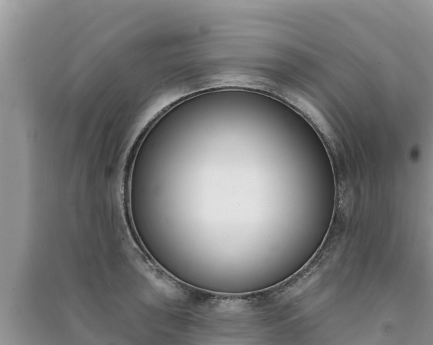 X0000091071043200708131148
