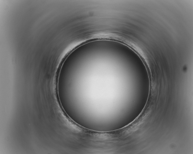 X0000091071045200708131148