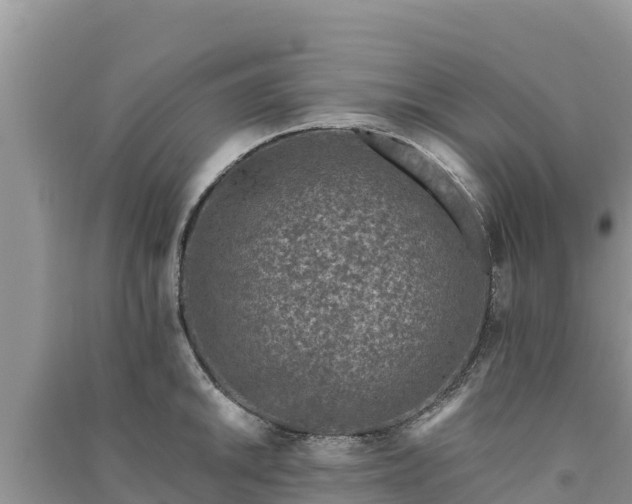 X0000091071046200708131148