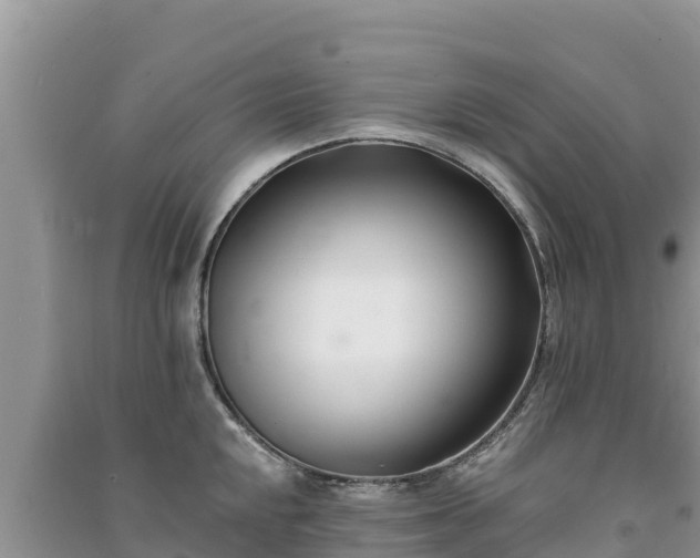 X0000091071048200708131148