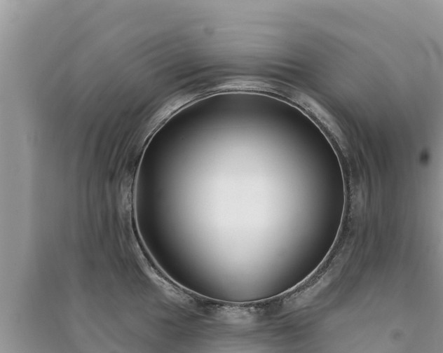 X0000091071049200708131148