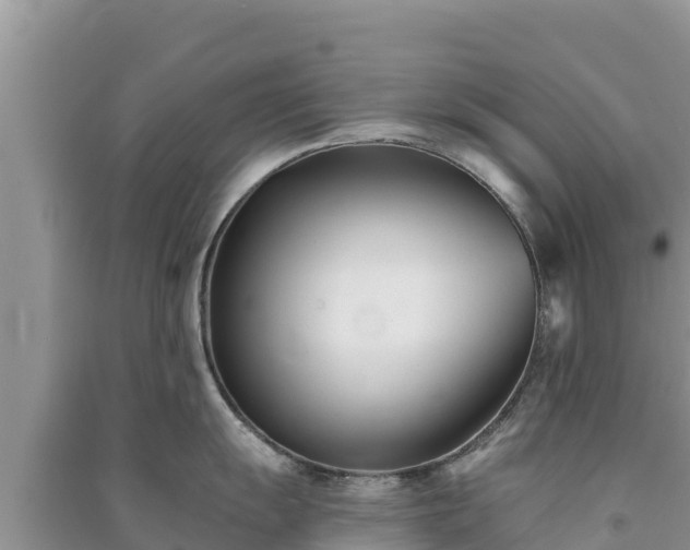 X0000091071055200708131148