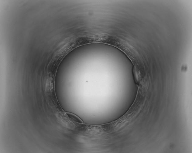 X0000091071058200708131148