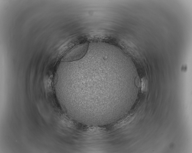 X0000091071059200708131148