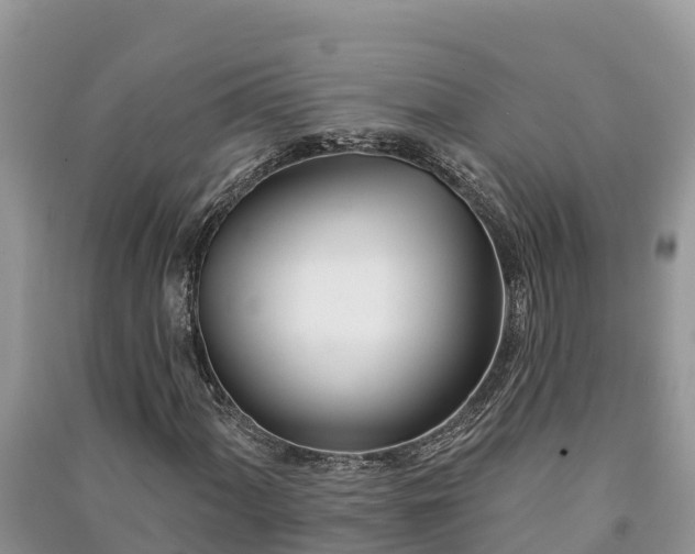 X0000091071060200708131148