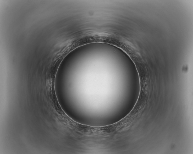X0000091071061200708131148