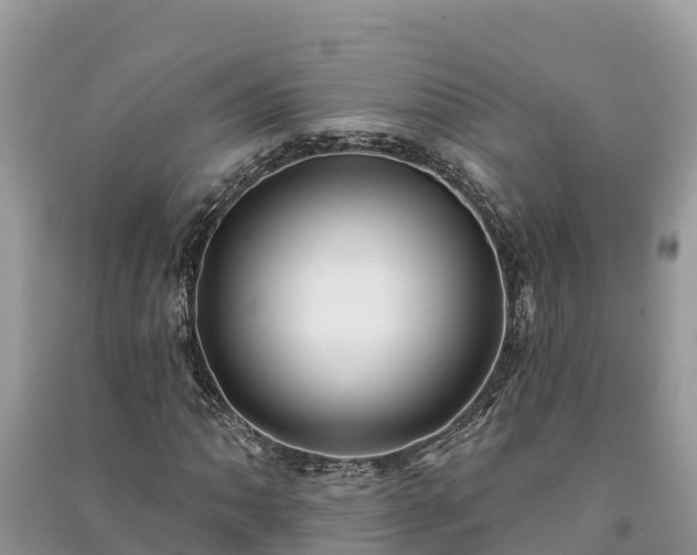 X0000091071062200708131148