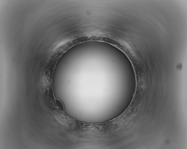 X0000091071063200708131147