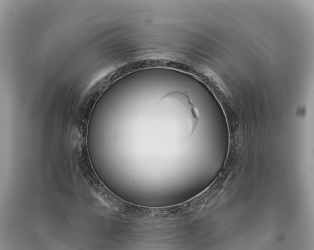 X0000091071064200708131147