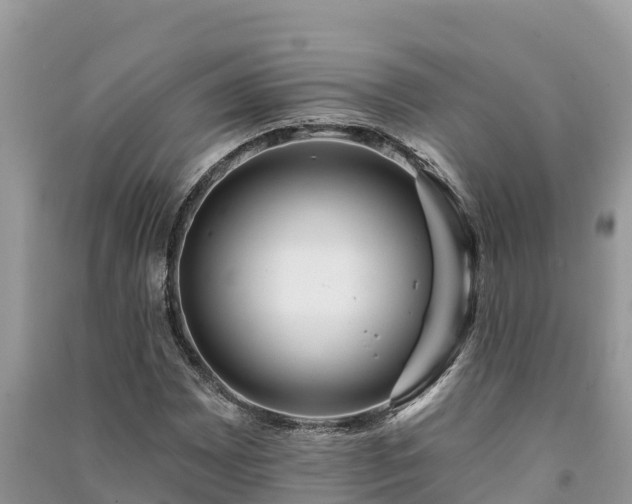 X0000091071065200708131147