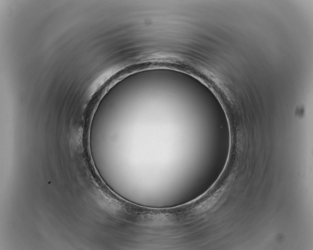 X0000091071066200708131147