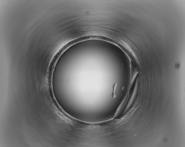 X0000091071068200708131147