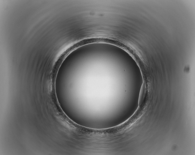 X0000091071069200708131147