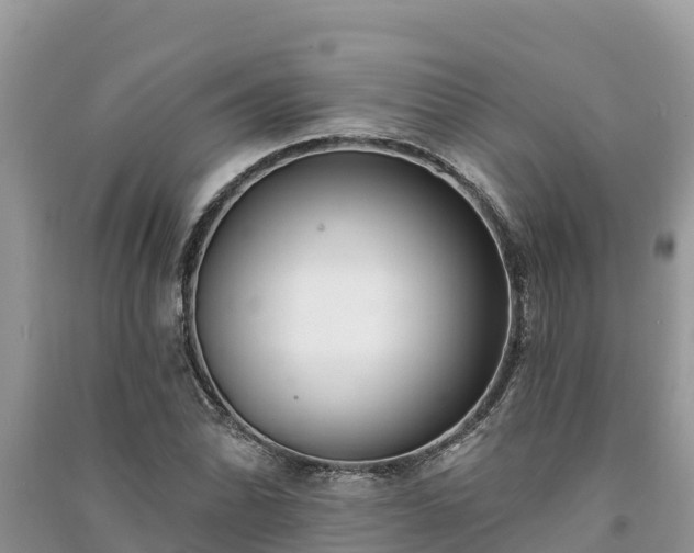 X0000091071070200708131147