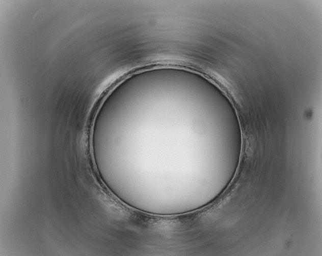 X0000091071074200708131147