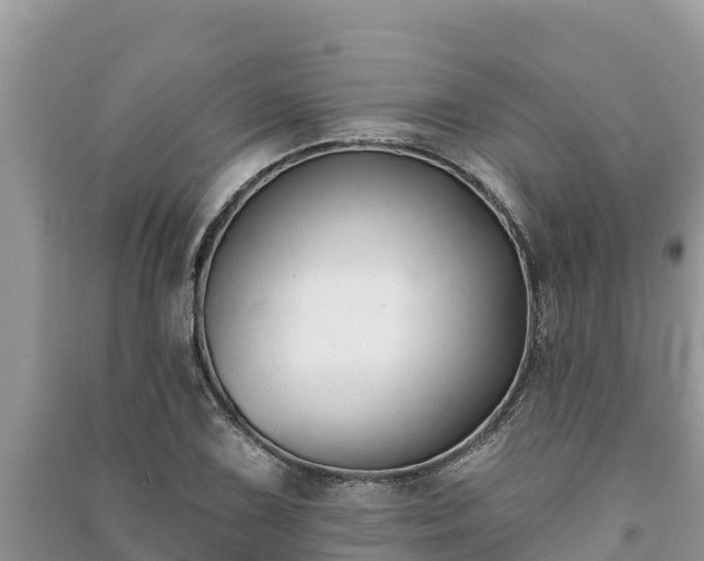 X0000091071075200708131147