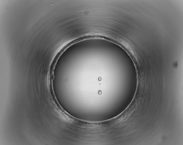 X0000091071076200708131147