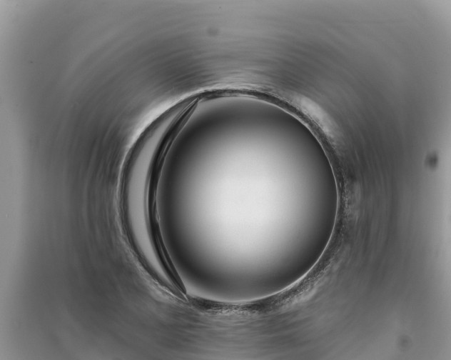 X0000091071077200708131147