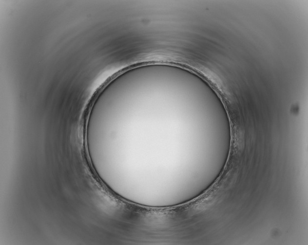 X0000091071078200708131147