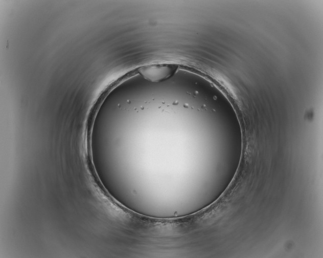 X0000091071080200708131147