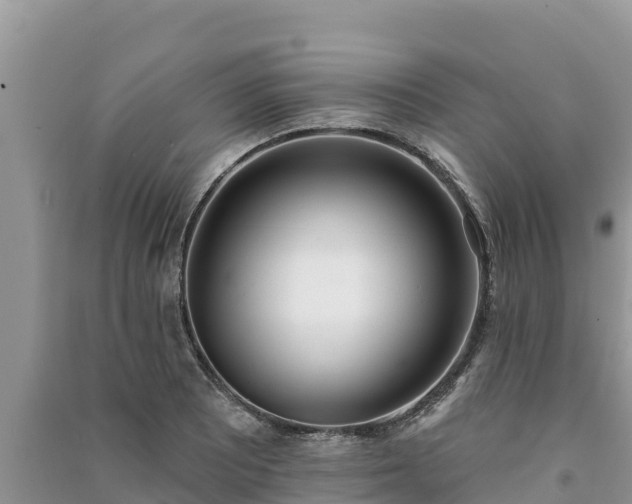 X0000091071081200708131147