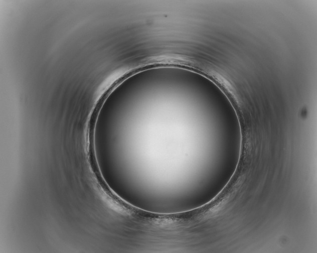 X0000091071082200708131147