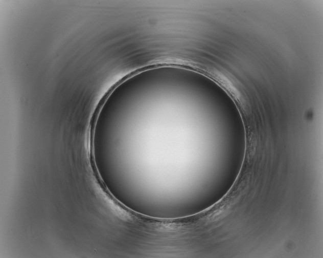 X0000091071084200708131147