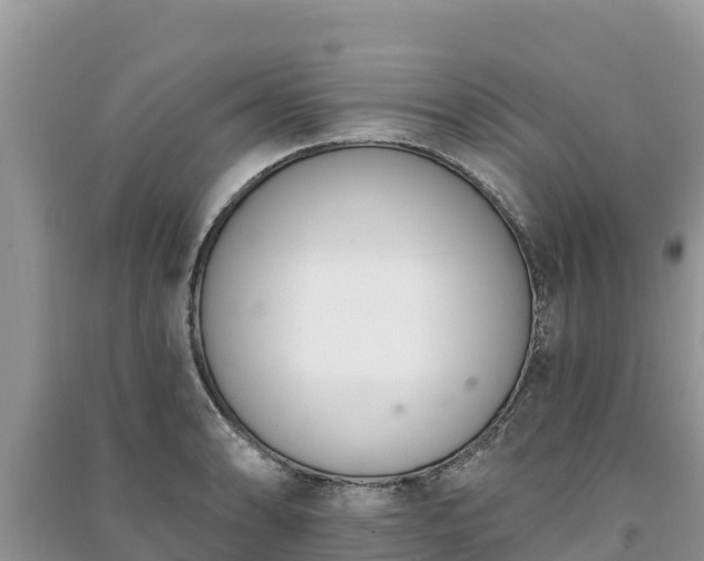 X0000091071086200708131147