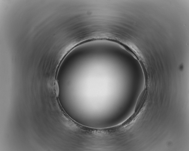 X0000091071089200708131147