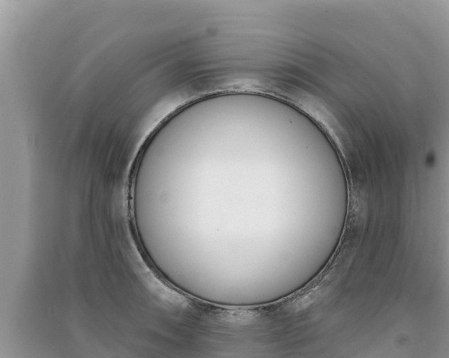 X0000091071090200708131147