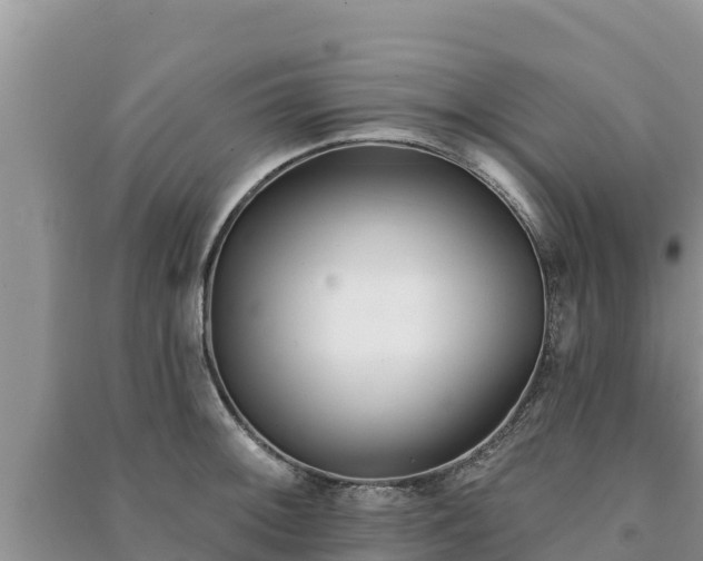 X0000091071092200708131147