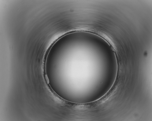 X0000091071093200708131147