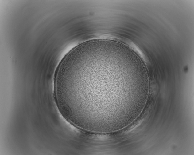 X0000091071095200708131147