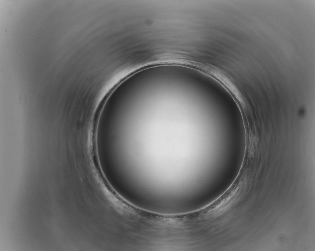 X0000091071101200708131147