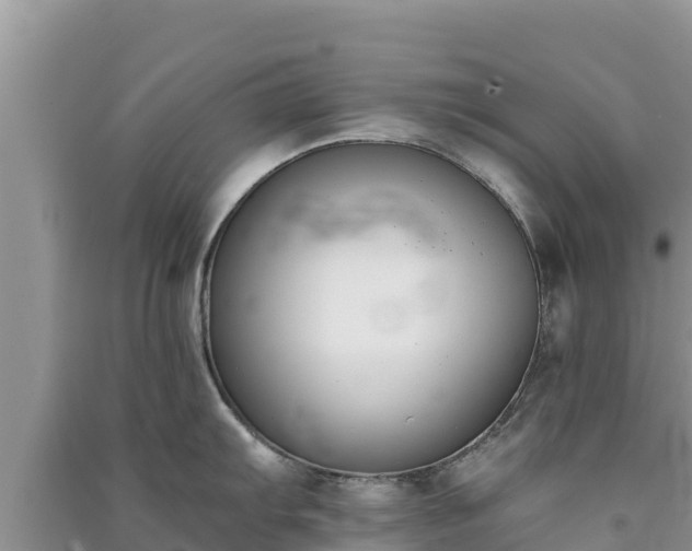 X0000091071103200708131147