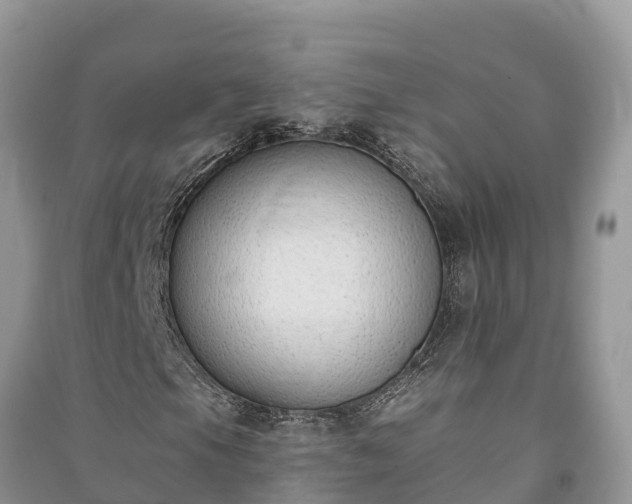 X0000091071105200708131146