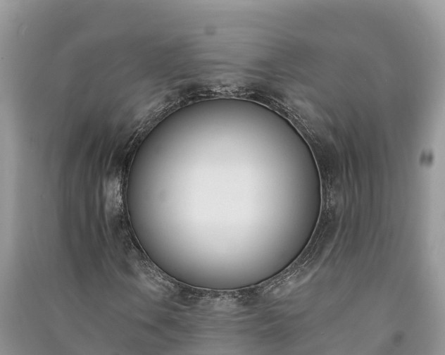 X0000091071106200708131146