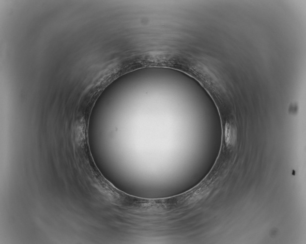 X0000091071107200708131146