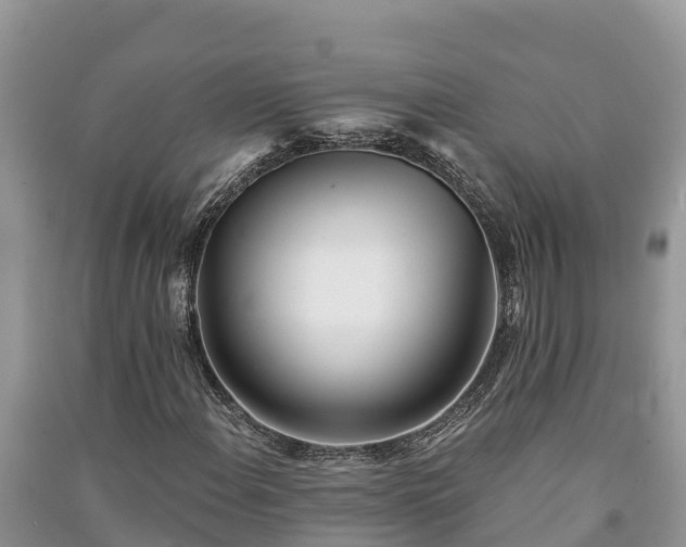 X0000091071108200708131146