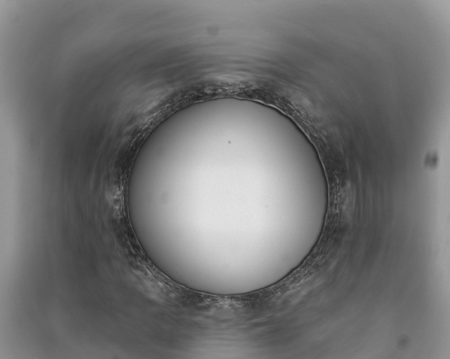 X0000091071109200708131146